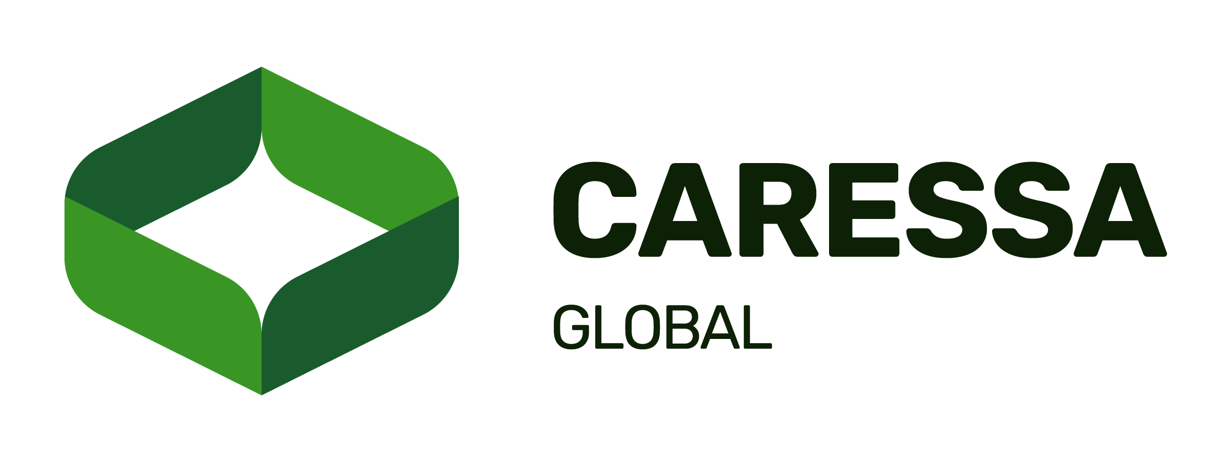 Carresa Global Logo Dark